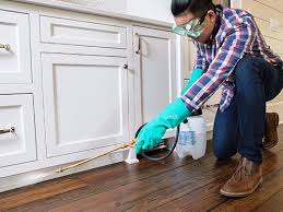 Best Real Estate Pest Inspections  in Rk Forest Village, PA